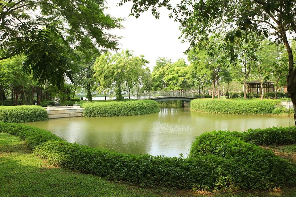 Dịch vụ cây xanh mang thiên nhiên đến từng ngôi nhà 