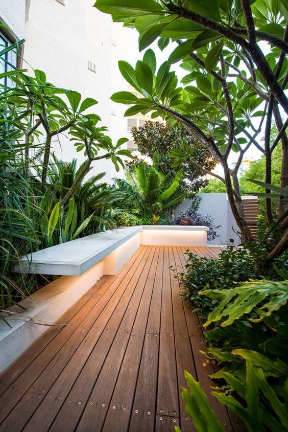 Cung Cấp Giống Cây Xanh