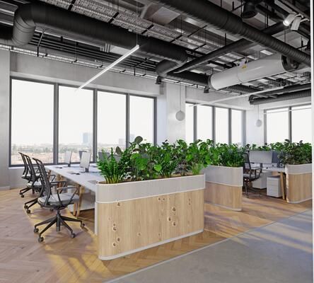 Dịch Vụ Trồng Cây Xanh