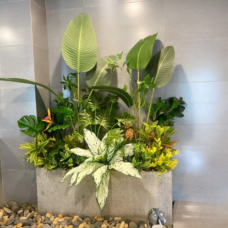 Dịch Vụ Trồng Cây Xanh