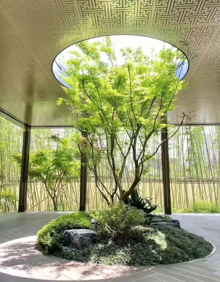 Tạo Cảnh Quan Cây Xanh