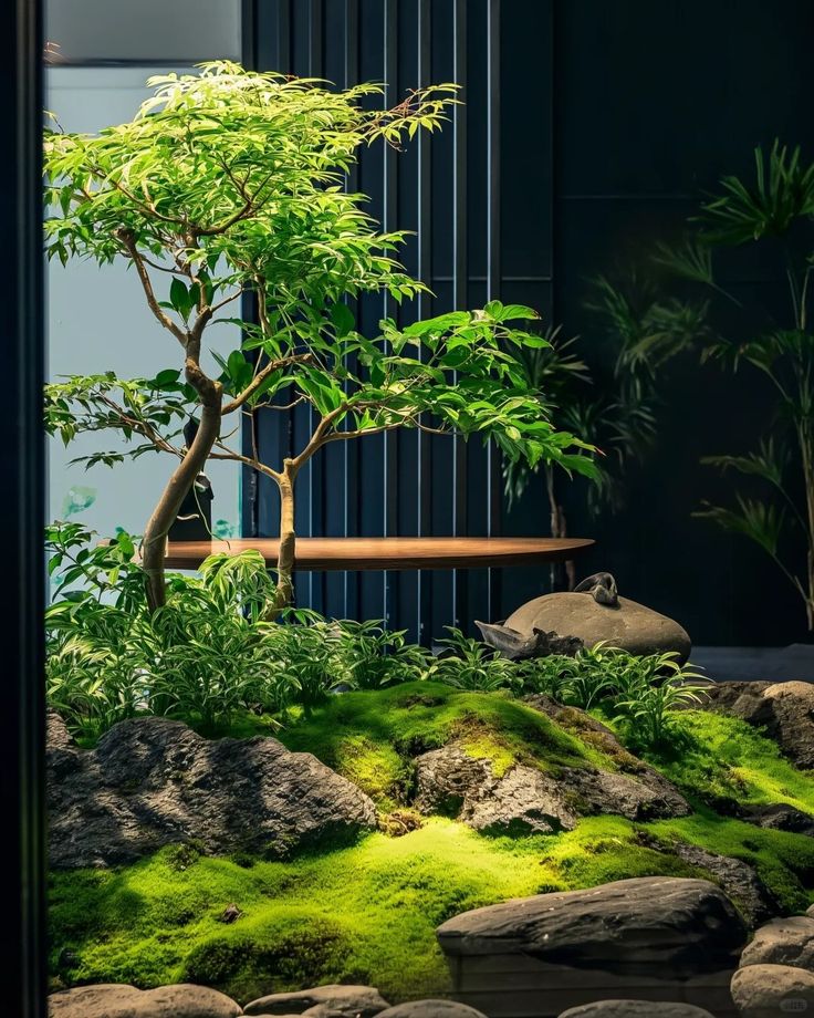 Tạo Cảnh Quan Cây Xanh