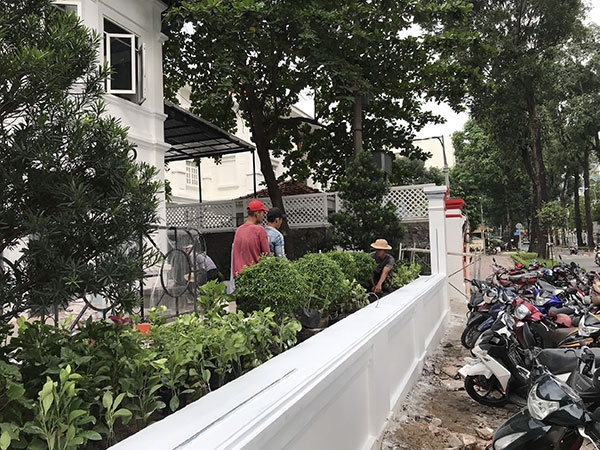 Trồng cây cho quán cafe ở 34 Trần Quốc Thảo