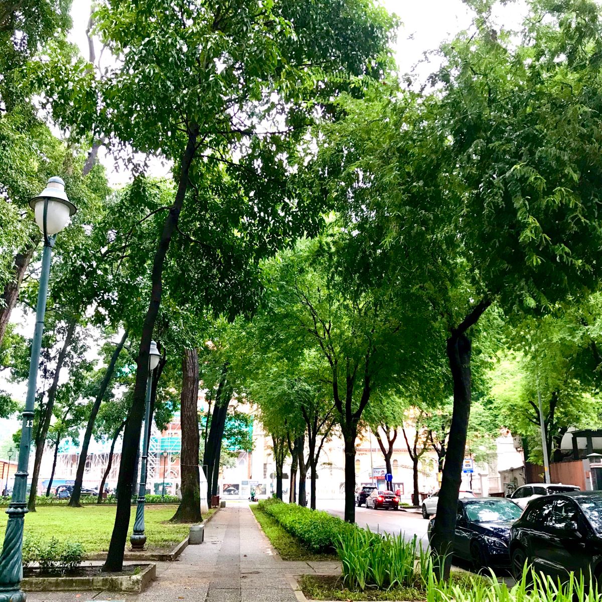 Trang Chủ 1 gioi thieu cung cap